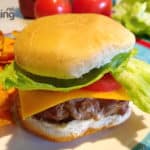 Air Fried Turkey Burgers